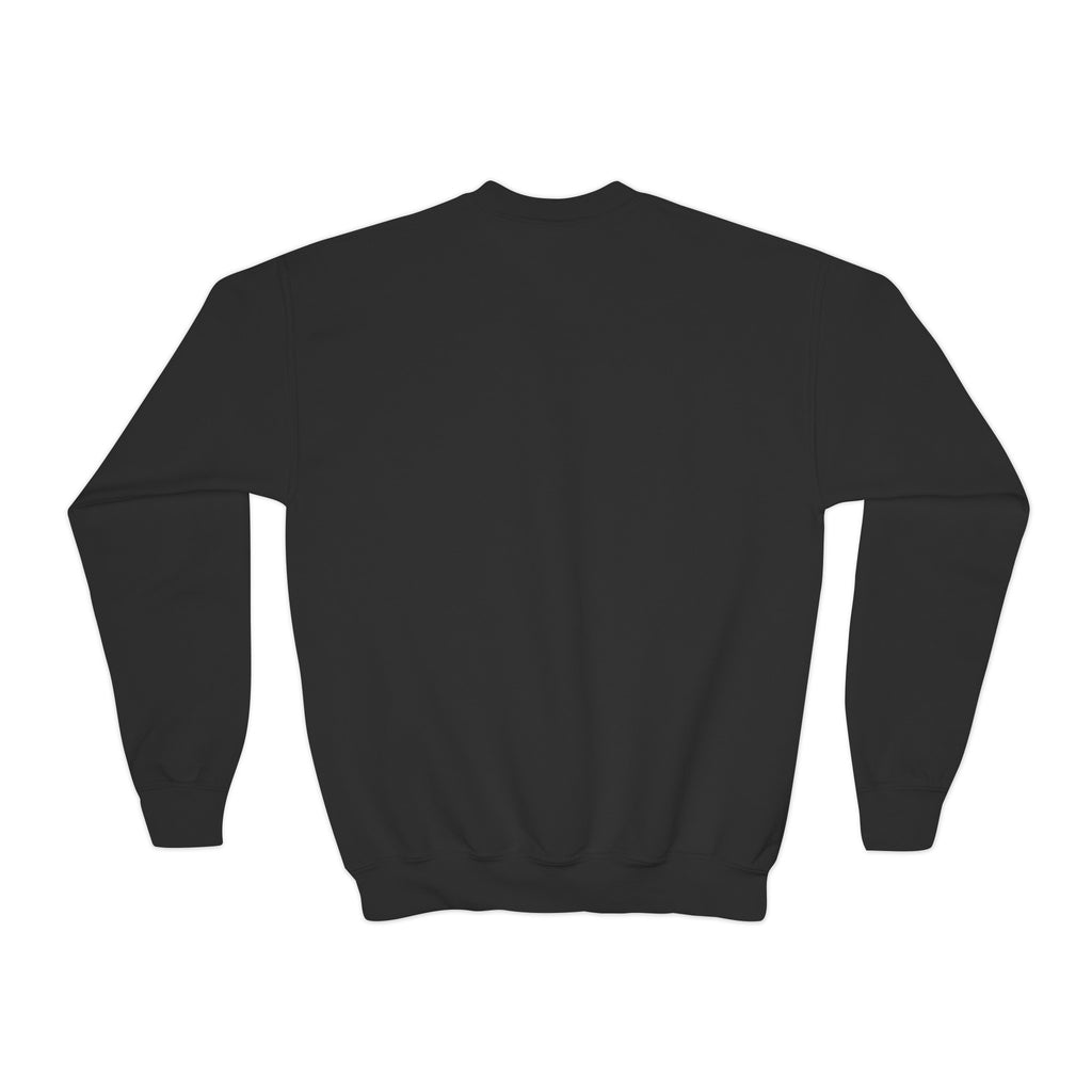 Youth Crewneck Sweatshirt (9286066602143)