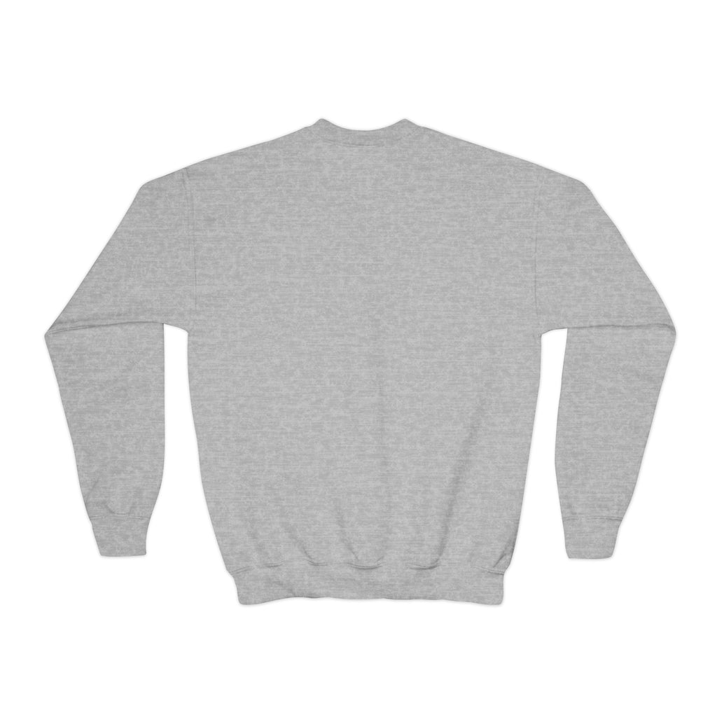 Youth Crewneck Sweatshirt (9286066602143)