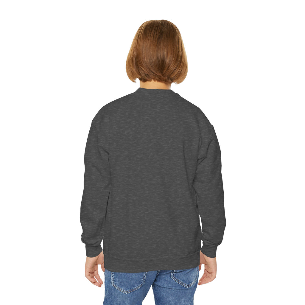 Youth Crewneck Sweatshirt (9286066602143)