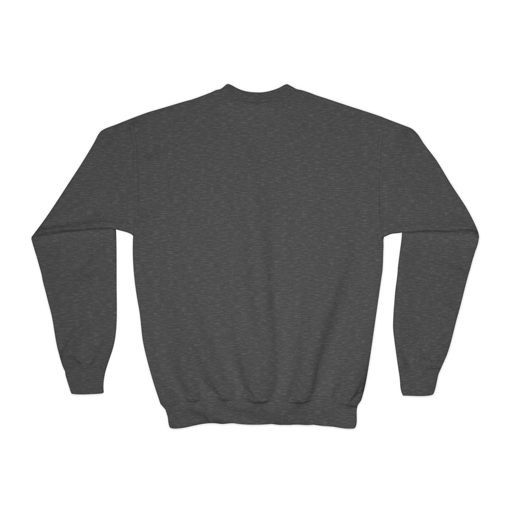 Youth Crewneck Sweatshirt (9286066602143)